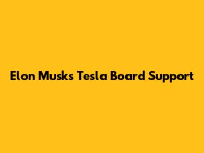 Elon Musk's Tesla Board Support