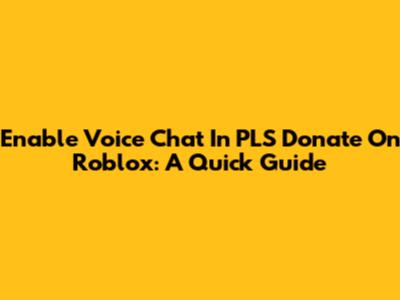 Enable Voice Chat In PLS Donate On Roblox: A Quick Guide