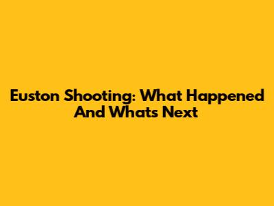 Euston Shooting: What Happened And What's Next