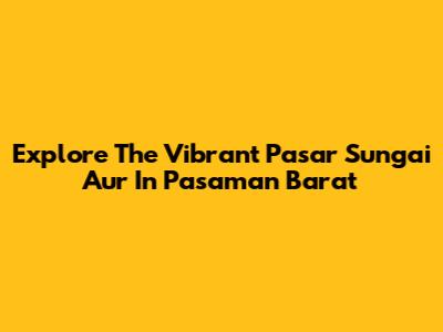 Explore The Vibrant Pasar Sungai Aur In Pasaman Barat