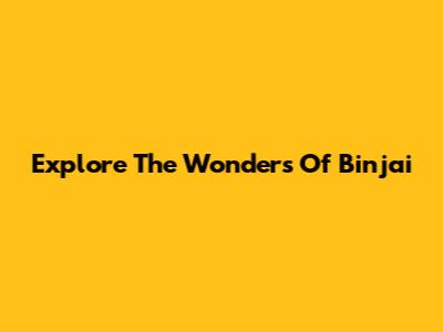 Explore The Wonders Of Binjai