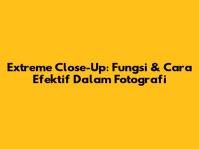 Extreme Close-Up: Fungsi & Cara Efektif Dalam Fotografi