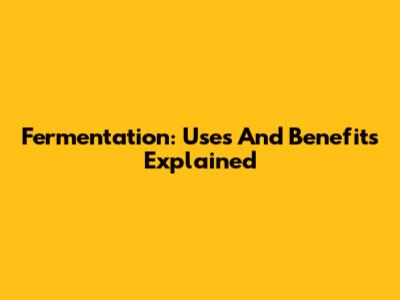 Fermentation: Uses And Benefits Explained