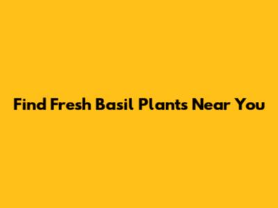 Find Fresh Basil Plants Near You