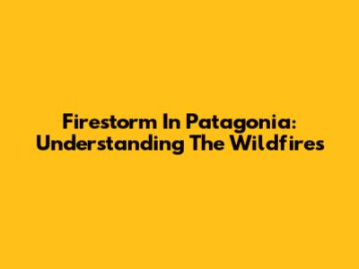 Firestorm In Patagonia: Understanding The Wildfires