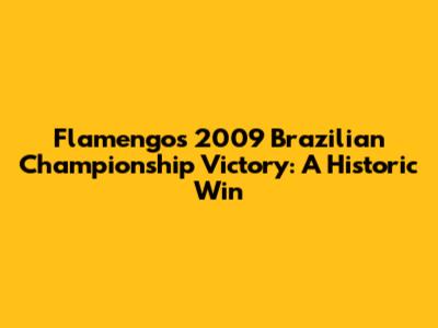 Flamengo's 2009 Brazilian Championship Victory: A Historic Win