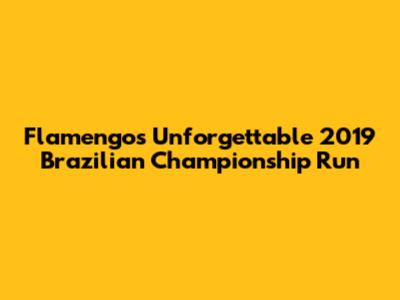 Flamengo's Unforgettable 2019 Brazilian Championship Run