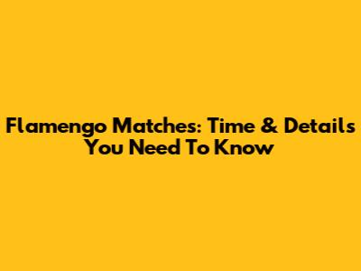 Flamengo Matches: Time & Details You Need To Know