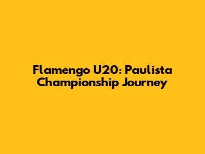 Flamengo U20: Paulista Championship Journey