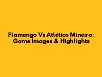 Flamengo Vs Atlético Mineiro: Game Images & Highlights