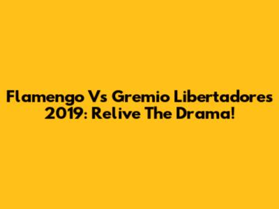 Flamengo Vs Gremio Libertadores 2019: Relive The Drama!