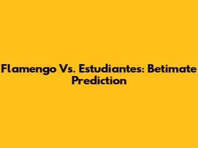 Flamengo Vs. Estudiantes: Betimate Prediction