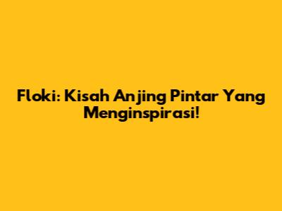 Floki: Kisah Anjing Pintar Yang Menginspirasi!