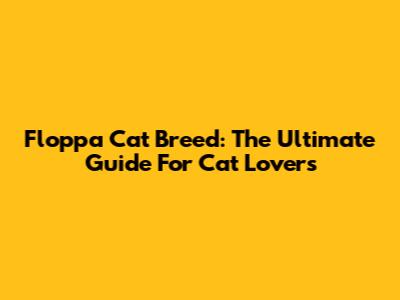 Floppa Cat Breed: The Ultimate Guide For Cat Lovers