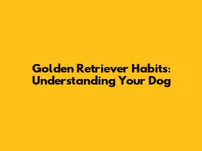 Golden Retriever Habits: Understanding Your Dog