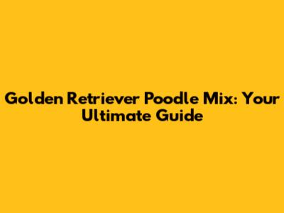 Golden Retriever Poodle Mix: Your Ultimate Guide