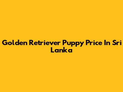 Golden Retriever Puppy Price In Sri Lanka