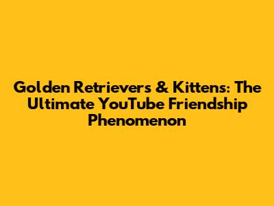 Golden Retrievers & Kittens: The Ultimate YouTube Friendship Phenomenon