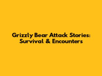 Grizzly Bear Attack Stories: Survival & Encounters