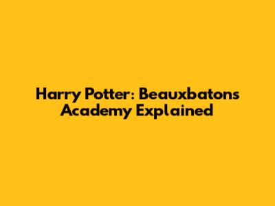 Harry Potter: Beauxbatons Academy Explained