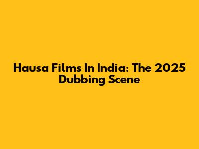 Hausa Films In India: The 2025 Dubbing Scene