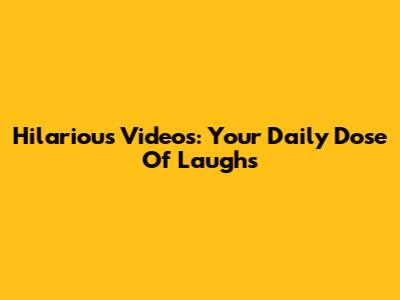 Hilarious Videos: Your Daily Dose Of Laughs