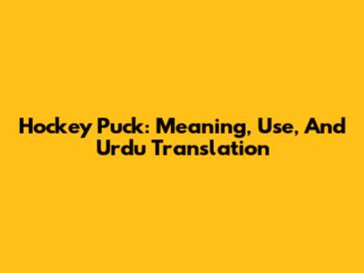 Hockey Puck: Meaning, Use, And Urdu Translation