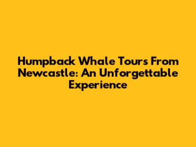 Humpback Whale Tours From Newcastle: An Unforgettable Experience