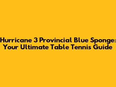 Hurricane 3 Provincial Blue Sponge: Your Ultimate Table Tennis Guide