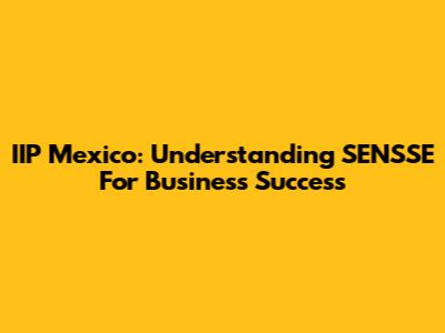 IIP Mexico: Understanding SENSSE For Business Success