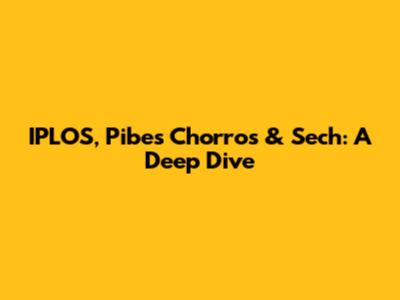 IPLOS, Pibes Chorros & Sech: A Deep Dive