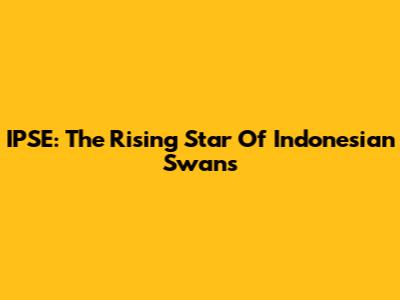 IPSE: The Rising Star Of Indonesian Swans
