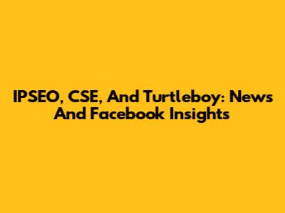 IPSEO, CSE, And Turtleboy: News And Facebook Insights