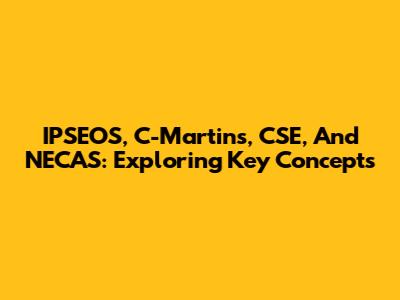IPSEOS, C-Martins, CSE, And NECAS: Exploring Key Concepts