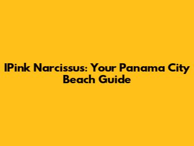 IPink Narcissus: Your Panama City Beach Guide