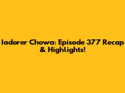 Iadorer Chowa: Episode 377 Recap & Highlights!