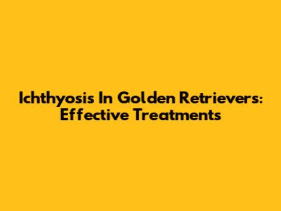 Ichthyosis In Golden Retrievers: Effective Treatments