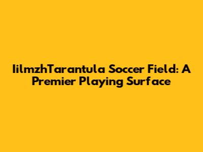 IilmzhTarantula Soccer Field: A Premier Playing Surface