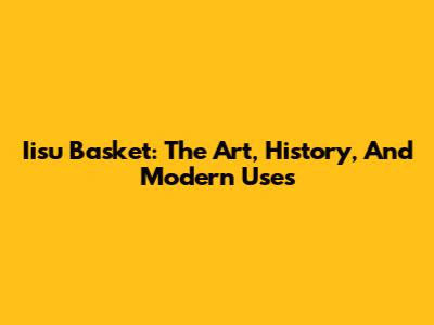 Iisu Basket: The Art, History, And Modern Uses