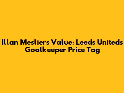 Illan Meslier's Value: Leeds United's Goalkeeper Price Tag