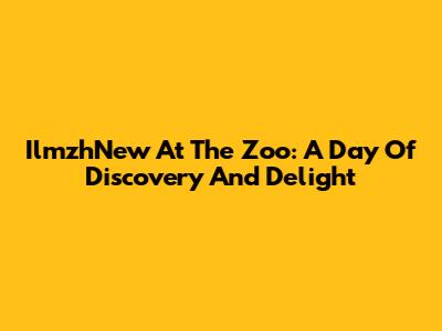 IlmzhNew At The Zoo: A Day Of Discovery And Delight