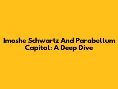 Imoshe Schwartz And Parabellum Capital: A Deep Dive