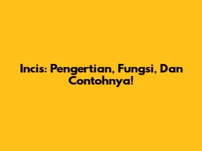 Incis: Pengertian, Fungsi, Dan Contohnya!
