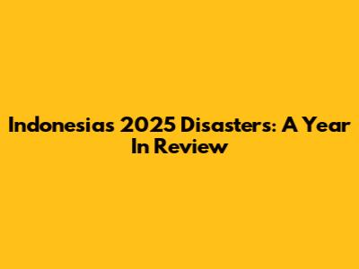 Indonesia's 2025 Disasters: A Year In Review