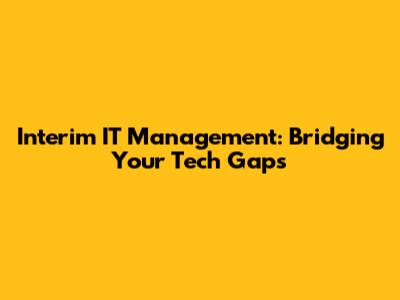 Interim IT Management: Bridging Your Tech Gaps