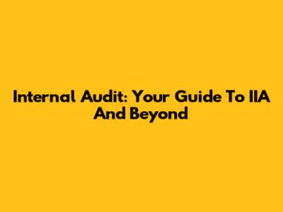 Internal Audit: Your Guide To IIA And Beyond