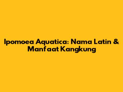 Ipomoea Aquatica: Nama Latin & Manfaat Kangkung
