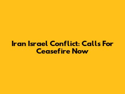 Iran Israel Conflict: Calls For Ceasefire Now