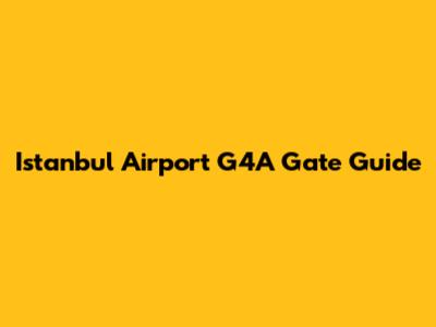 Istanbul Airport G4A Gate Guide