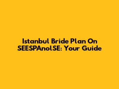 Istanbul Bride Plan On SEESPAnolSE: Your Guide